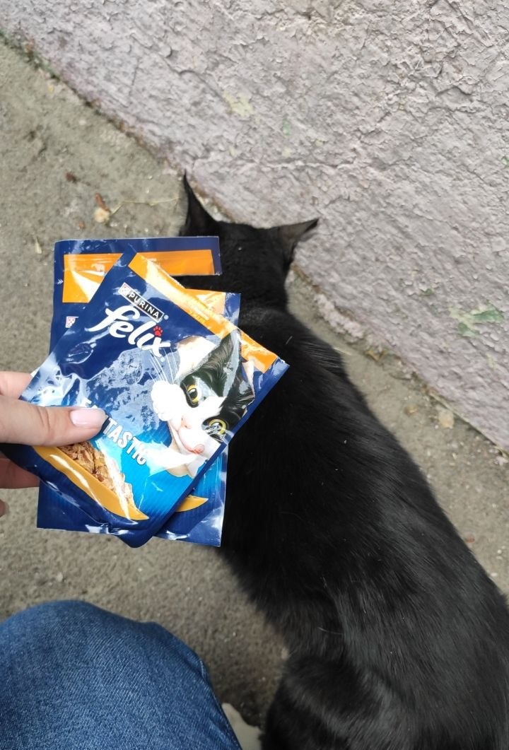 kittyzht's tweet photo. схудли малі капець

https://t.co/VEdmnbQKDK https://t.co/12j2DxBnsl