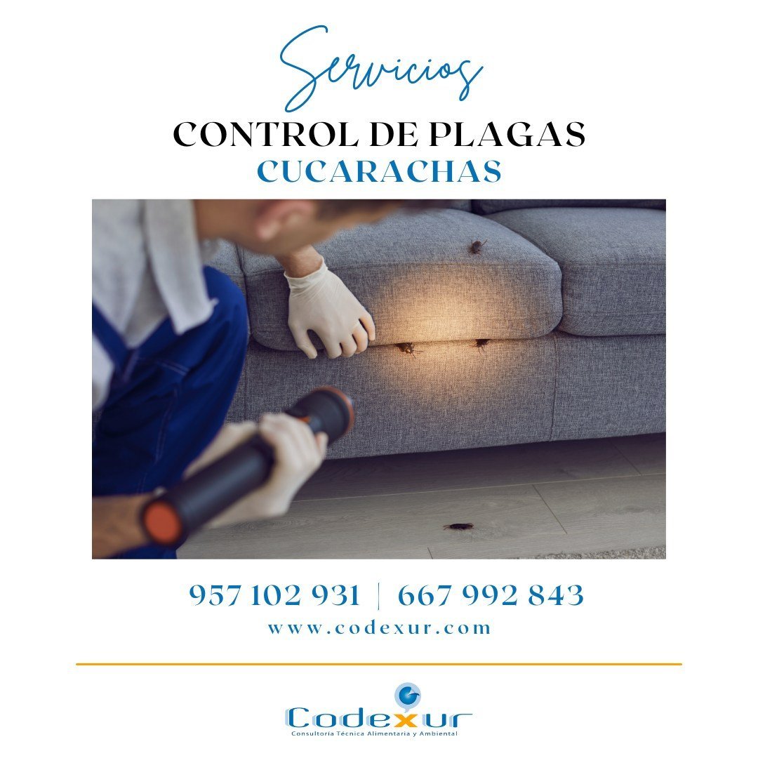 codexur's tweet photo. 🚫 Las cucarachas no solo son desagradables, también pueden convertirse en un riesgo para la salud. En Codexur aplicamos tratamientos eficaces y seguros para eliminar infestaciones y prevenir su reaparición.

🌐 https://t.co/TLA79HItBk https://t.co/onwEF4ssun