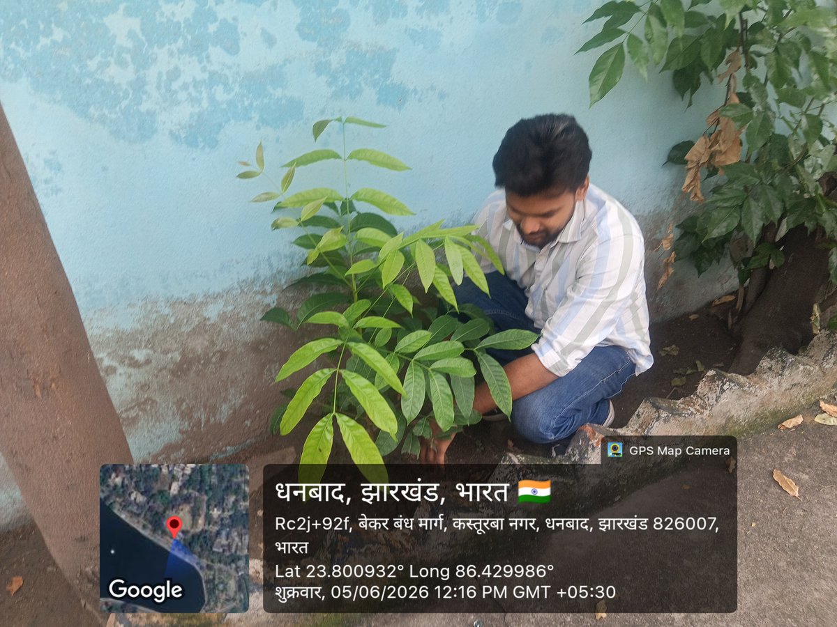 JJMdhanbad's tweet photo. आज दिनांक 05.06.2026 को विश्व पर्यावरण दिवस पर पेयजल एवं स्वच्छता प्रमंडल संख्या 2 धनबाद कार्यालय प्रांगण में पौधारोपण कर सुनिश्चित जलवायु का संदेश दिया गया। https://t.co/5MviKCITo5