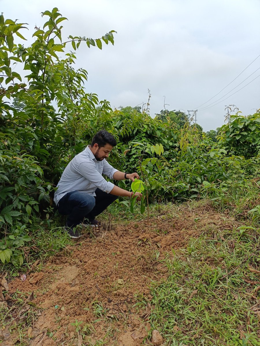 guddunath10's tweet photo. On this World Environment Day, let us commit to focusing on climate change and working towards a sustainable future! https://t.co/PSMtGEwOtU