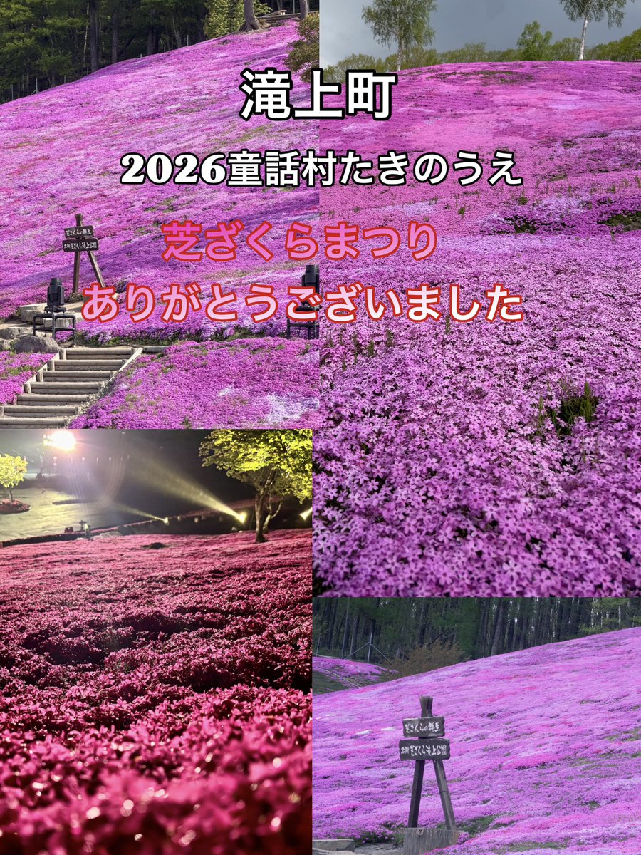 takinoue_kanko's tweet photo. 【2026童話村たきのうえ芝ざくらまつり】

無事に本年も終了致しました。
4/28開花宣言
4/29・30プレオープン
5/1~5/31芝ざくらまつり🌸

ご来園いただいた皆さま、心より感謝申し上げます。新たな魅力づくりにも取り組みながら、さらなる発展に努めてまいります。またのお越しお待ちしております！ https://t.co/mknQ7sT0vU