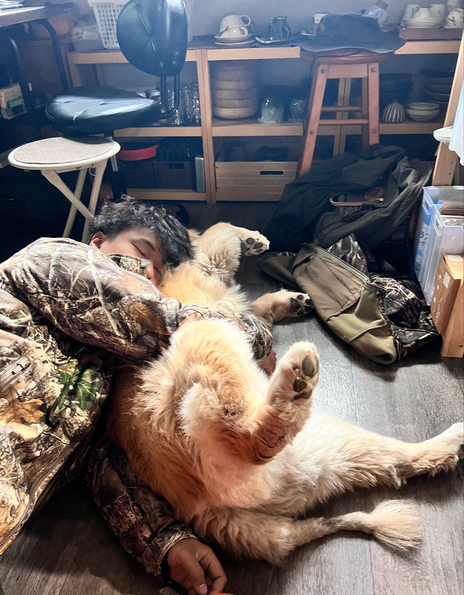 CRF250L1114's tweet photo. ディッパーおじさん、デカくて優しい🐏 https://t.co/nCdLBYbTxX