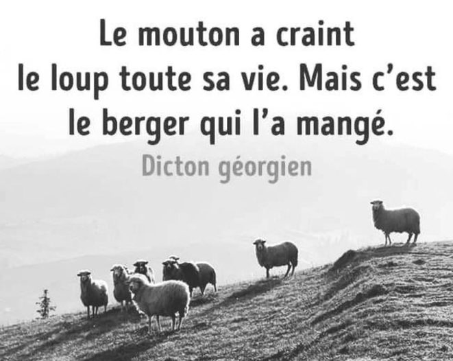 AlbertQuerd's tweet photo. @DidierMaisto À "semble" être une impasse.
Et c'est plein de loups qui rôdent 

Le berger préfère emmener le troupeau sur le chemin B
Pour son bien 

"son" ....? https://t.co/fiIUl71uQt