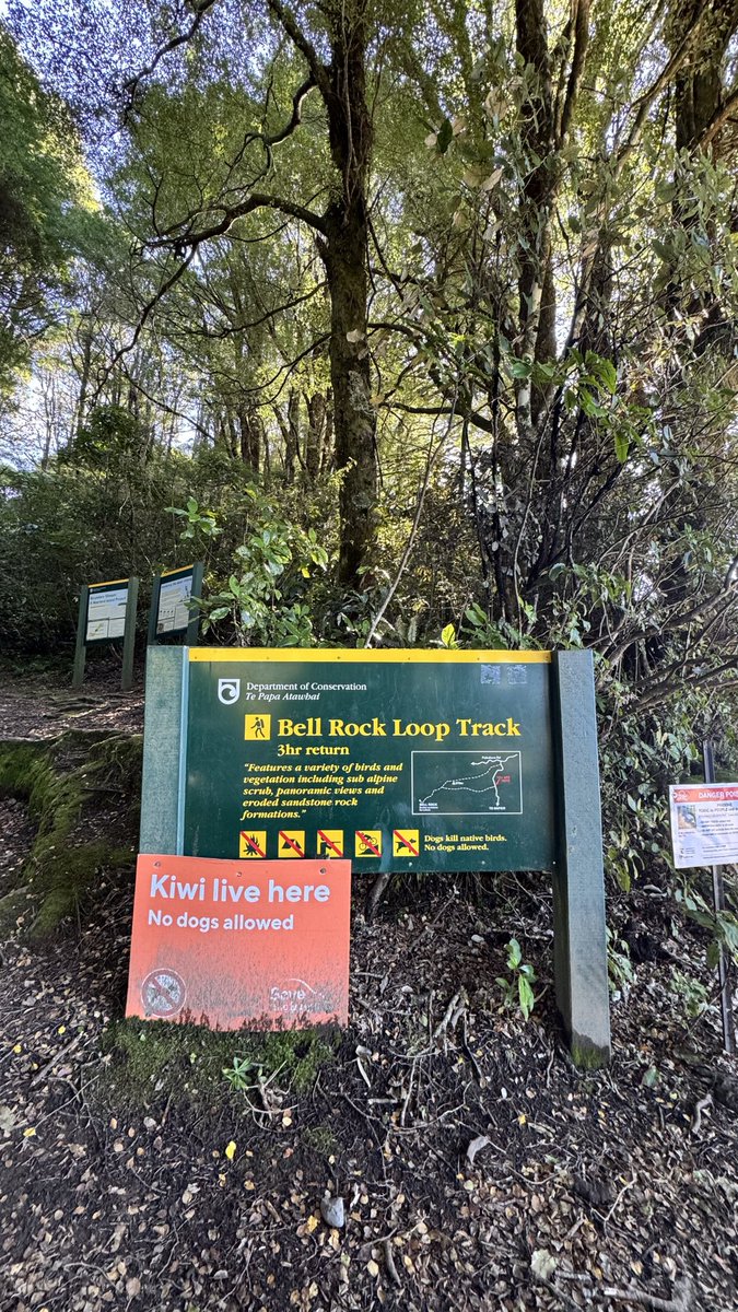 sylvister15's tweet photo. 📍Bell Rock, Hawke's bay ,New Zealand https://t.co/xHTxT54hjP