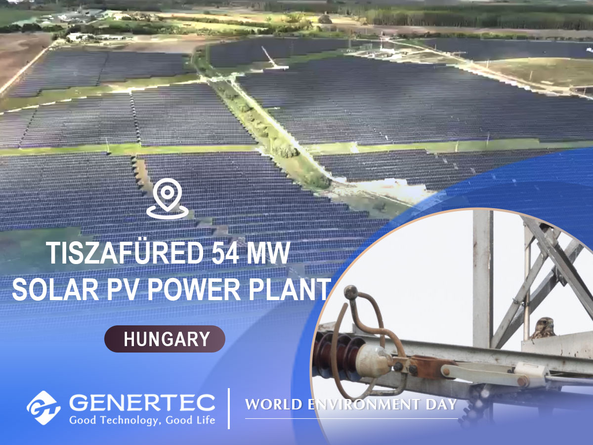 Genertec_Global's tweet photo. Today is World Environment Day!

At Genertec, we believe clean energy and nature can thrive together.

In Bangladesh, solar panels share the landscape with grazing cattle.
In Spain, we plant greenery and build nests for local birds.
In Hungary, we designed homes for the rare species — Saker Falcon.

Clean energy not only powers millions of homes — it supports wildlife, restores ecosystems, and works hand in hand with local communities to shape a greener future.
@sinoprise @GreenCN2030