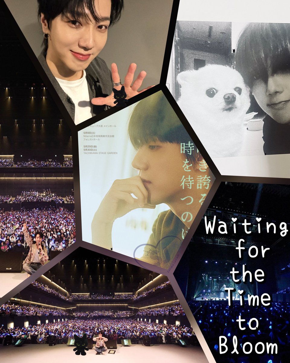 SJZafiroLATAM's tweet photo. 🧵⬇️ Nuestro querido YESUNG terminó su gira en Japón, 3 fechas Sold Out! Nos comparte que este tour forma parte de las celebraciones por su 10°Aniversario solista.

Yeyang acompaño a Yesung en su gira, pudiste encontrar a los 10🐈‍⬛?
#SUPERJUNIOR #YESUNG
#咲き誇る時を待つのは https://t.co/4Qz32VBiN1