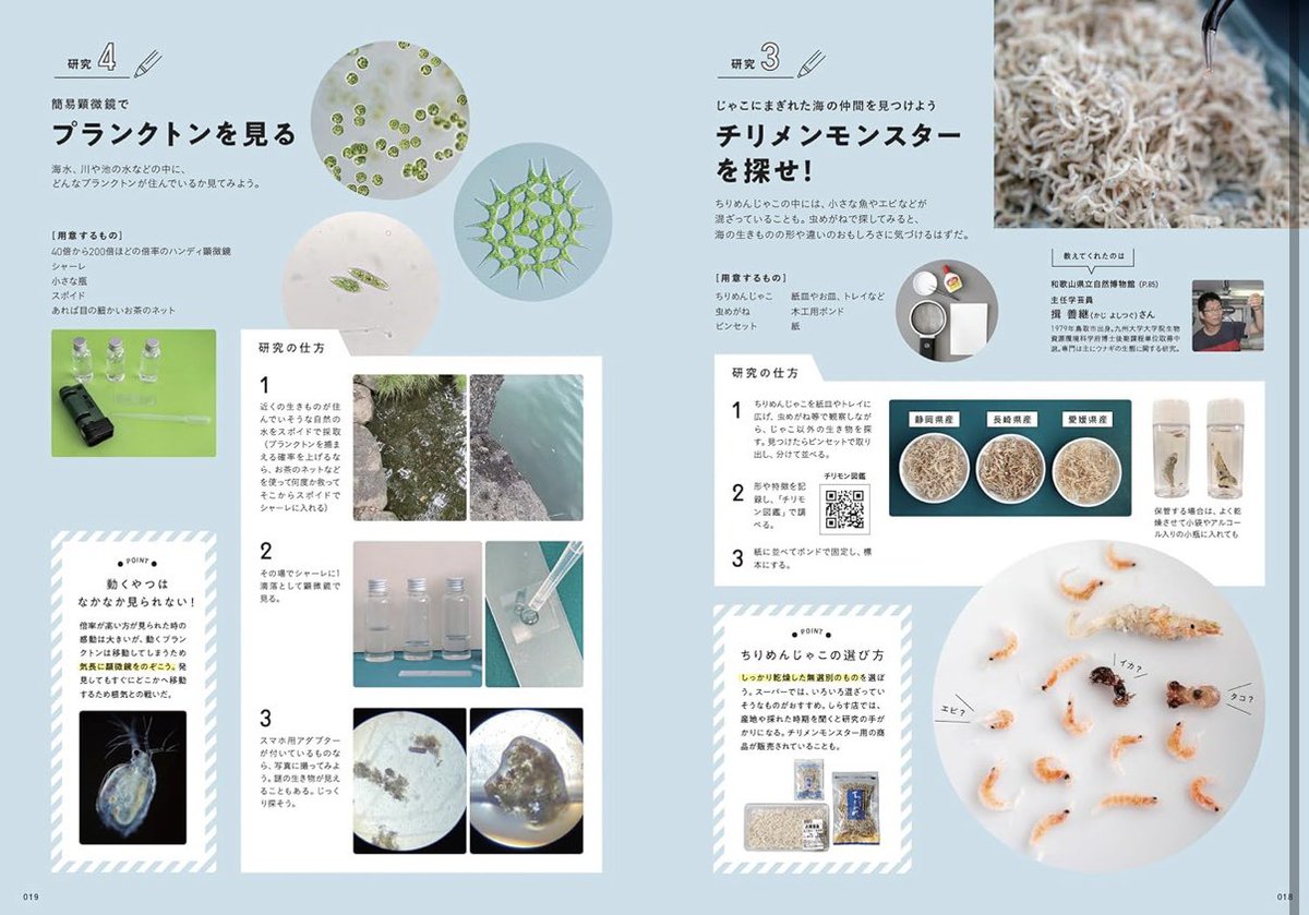 momo』の新刊良いなあ！！！ 自由研究特集号👩🏻‍🔬🧪夏休みを控えてる