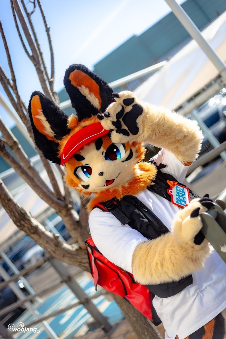 IM_PICKLEZ's tweet photo. 비 온 뒤 맑음☀️

#FursuitFriday https://t.co/K5BH8z3B9f