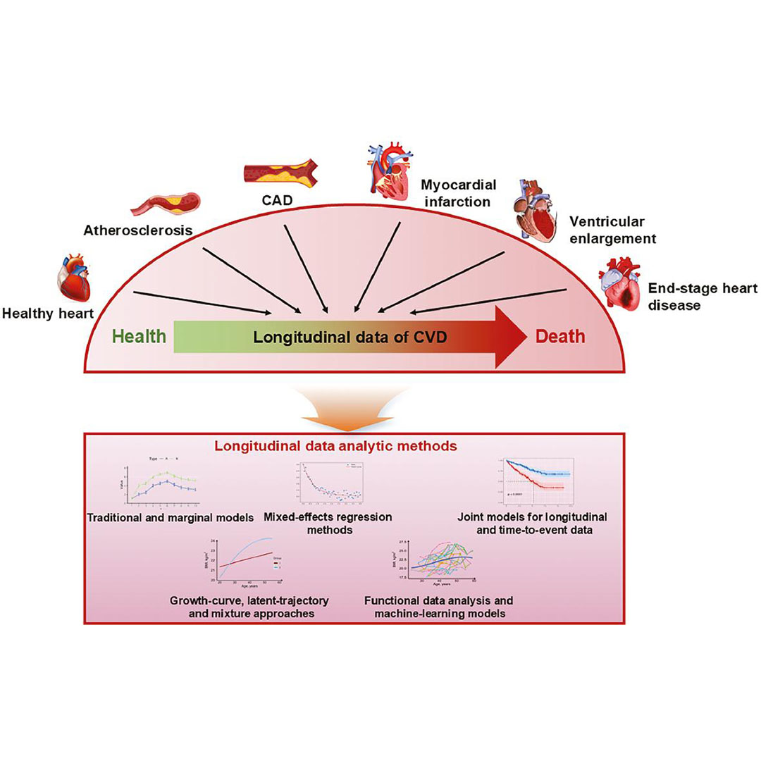 CVIA_Journal's tweet photo. This review highlights the opportunities and limitations of #LongitudinalMethods, outlines their challenges and advantages, and underscores that a clear understanding of trade‑offs is essential for selecting approaches that yield valid, interpretable, and clinically meaningful outcomes.
#OpenAccess: https://t.co/V3WqIjLUj8