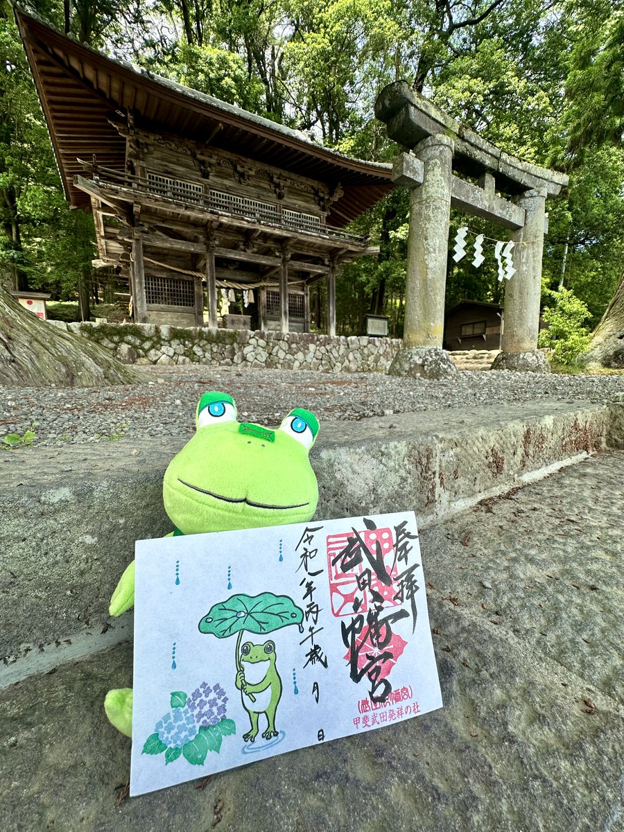 neera_kankou's tweet photo. ６月６日は「カエルの日」🐸🌈

武田八幡宮には、かわいいカエルさんの
御朱印があるんだよぉ❣

カエルさんもかわいいけど
ニーラもかわいいでしょ～❤️✨

詳しくは @t_hachimangu をチェック✨

＃カエルの日　＃武田八幡宮 https://t.co/SP97yWPl5H