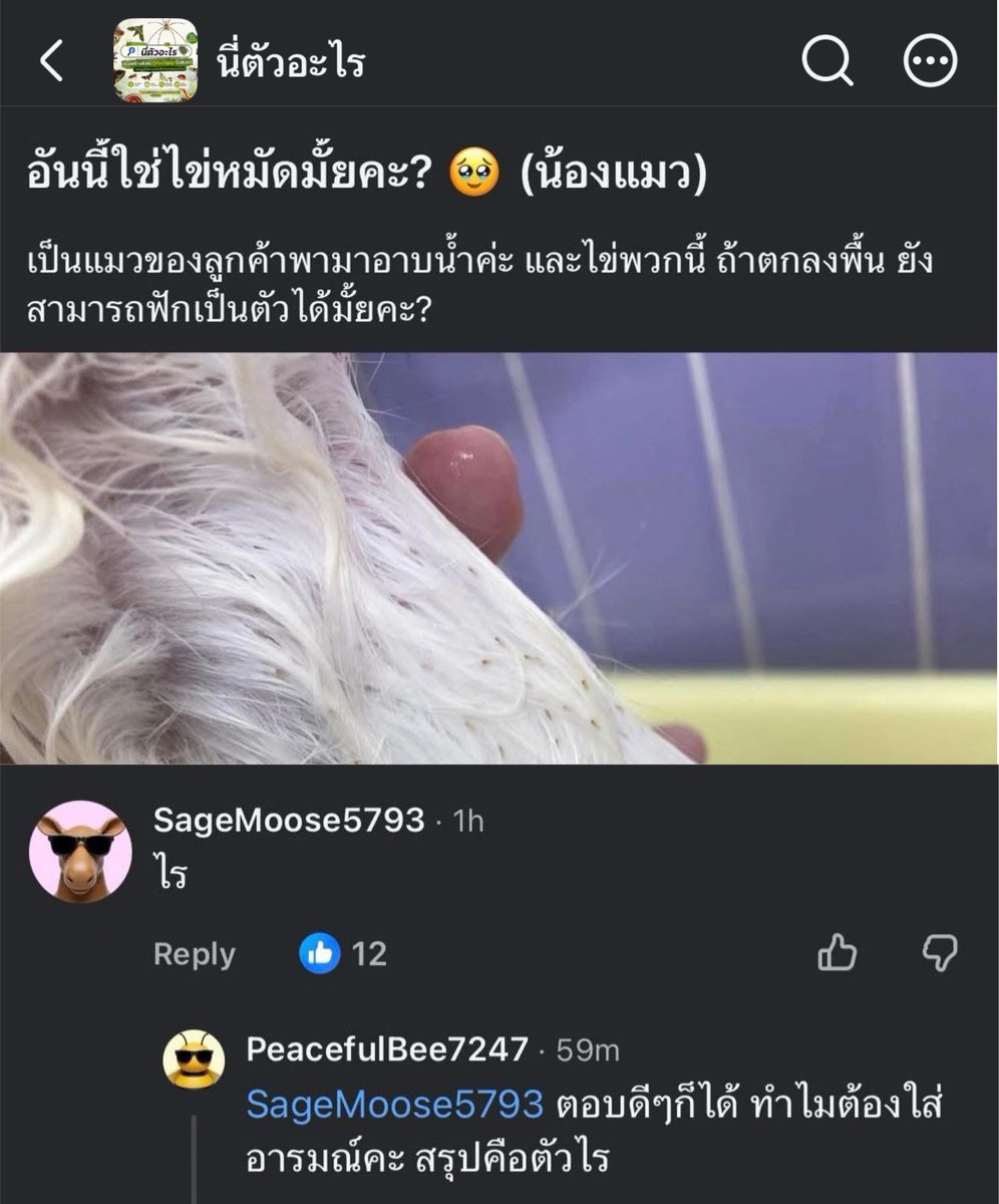 oohs00's tweet photo. พี่ฟังก่อน พี่ https://t.co/XcsrPcW4cH