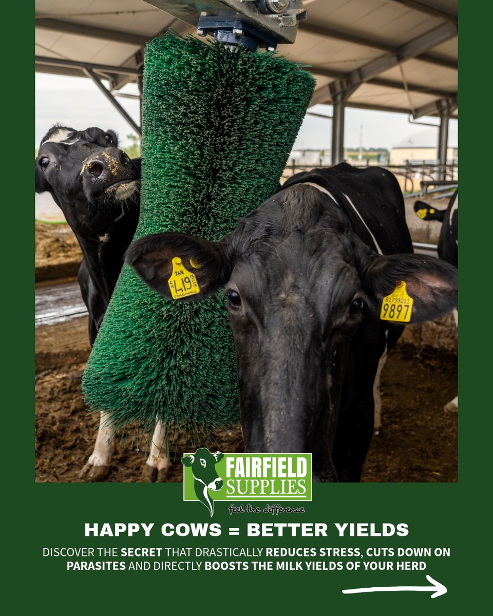 FairfieldSale's tweet photo. 🐮 Happy Cow = Better Yields 
Cow brushes are proven to lower herd stress, cut down on parasites, and directly boost herd milk production.
Discover our top 3 FETF eligible cow brushes:
🌟Agricow Pendulum Brush
🌟Calf Brush 
🌟Texas Cattle Brush 
https://t.co/zPDNzQT3KP
#farming https://t.co/pfcmEuCR7w