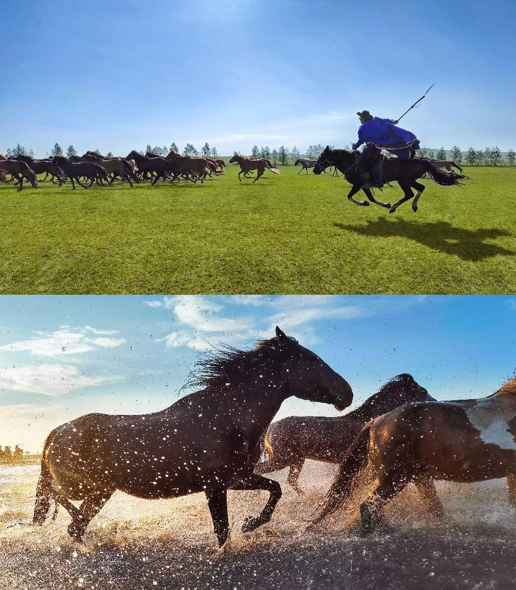 Thomas_capture's tweet photo. This year is the Year of the Horse
So photographing these powerful and graceful horses felt especially meaningful.
Galloping across the open land beneath the vast sky, they carry the spirit of freedom, strength, and vitality — a perfect symbol for the year ahead.
#YearOfTheHorse https://t.co/OgOXOB2cTl