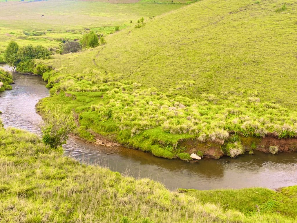 Peru Nomad tweet media