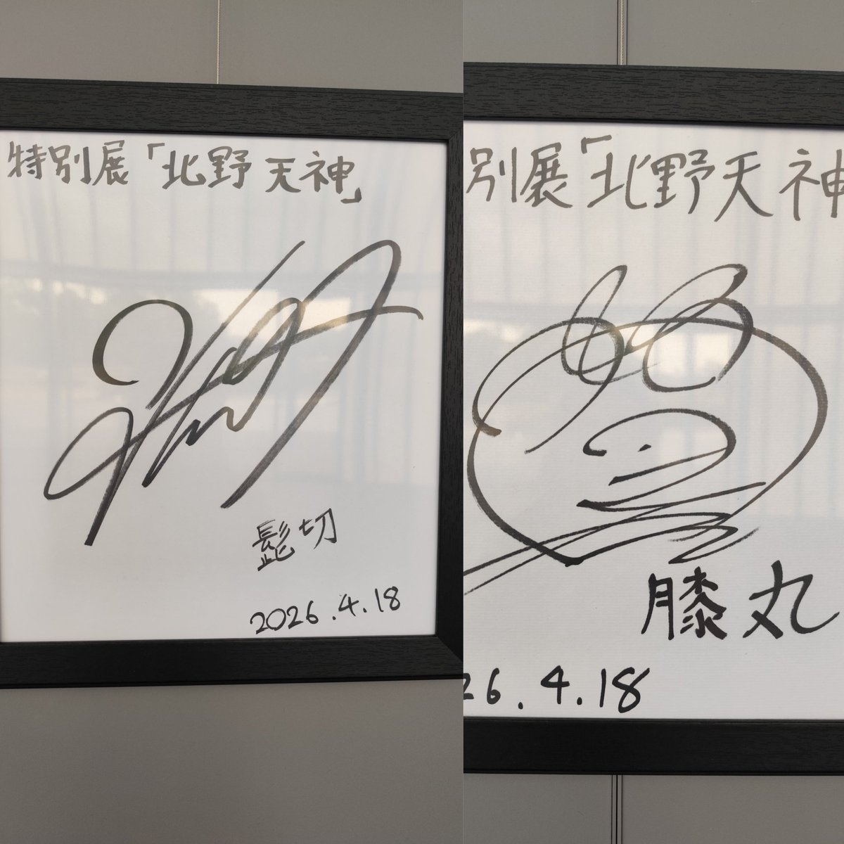 刀剣乱舞とのコラボもしてたけど、ミリシラなのが悔しい！ってくらい