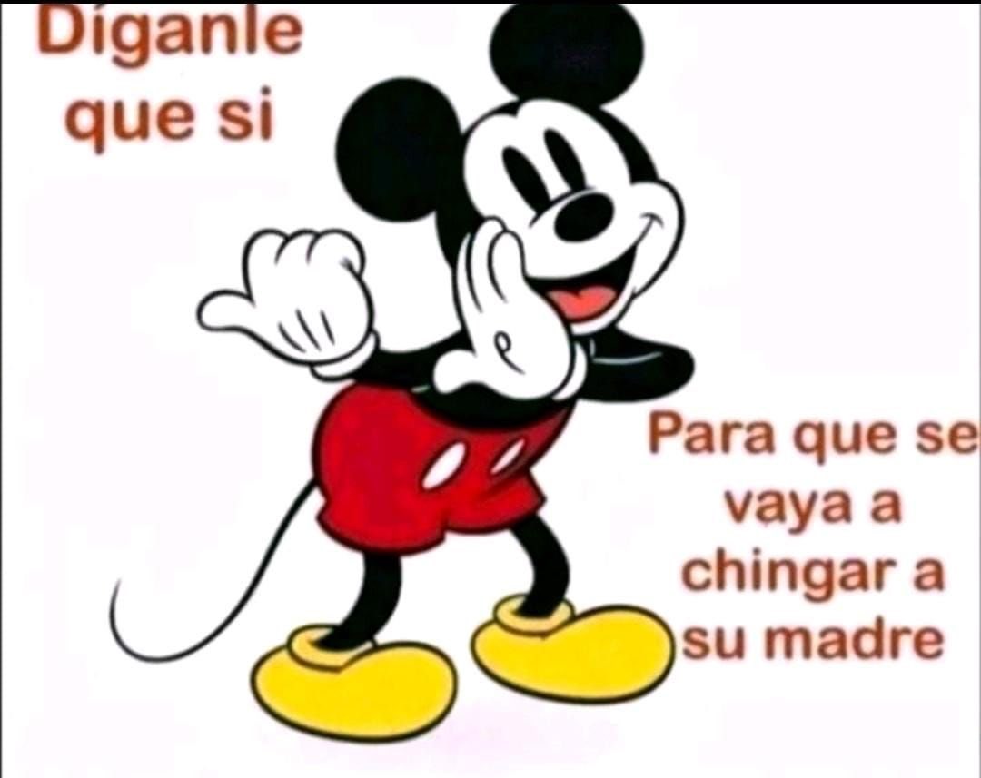 ⁴ tweet media