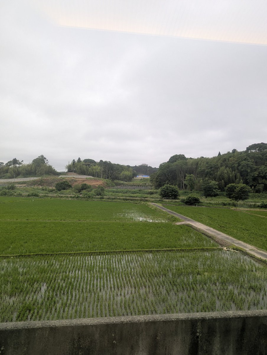 febcjp's tweet photo. 無事に帰国致しました！
田圃の風景に、「日本に帰ってきたなー」と実感致しました。お祈りありがとうございました！ https://t.co/q8Epvpqu9k