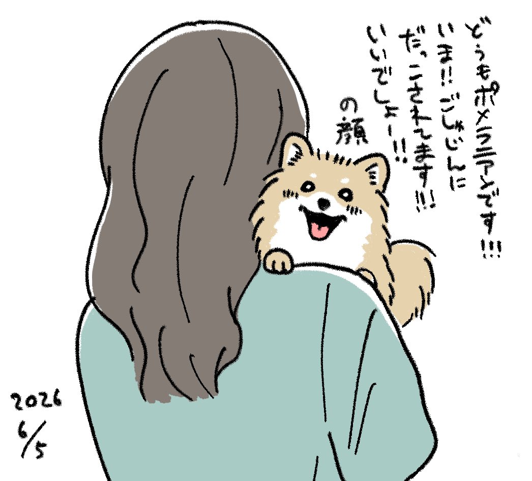 Hokamuraaaa's tweet photo. 抱っこしてもらって満面の笑みなポメラニアンに見つめられて、とても良かった。 https://t.co/heFwiSFcRX