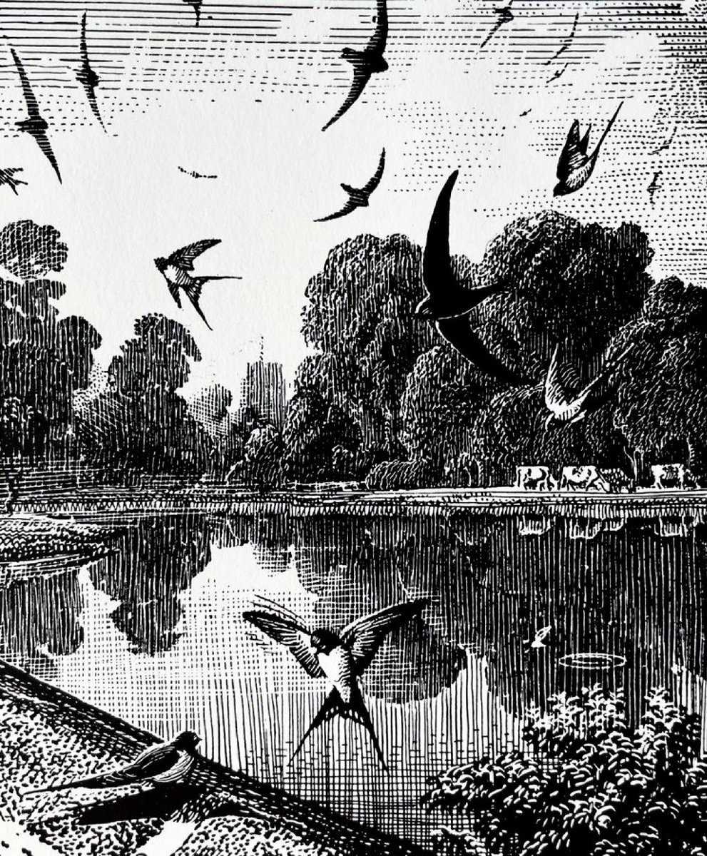 LBFlyawayhome's tweet photo. Other work of the Ladybird artists 
‘By the Mere’
Artist: CFTunnicliffe https://t.co/LlFG4b72qg