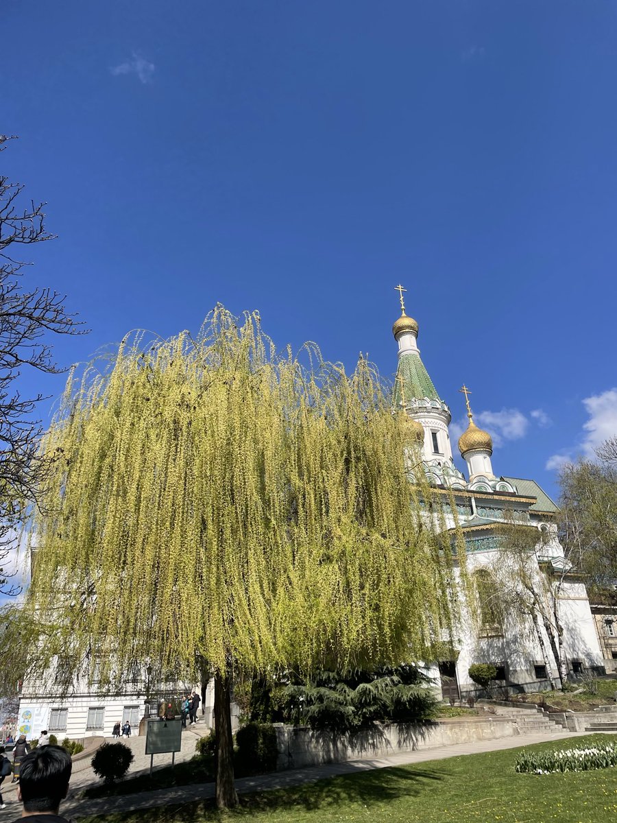 DO3GAR's tweet photo. molten silvery water flows 💧 
and golden glittery sun glows 🌞
sapphire blue high  sky 💙 
tiny daisy low and shy 🌼
look at that willow tree 🌳
all that beauty free to see  👁 

#حرفِ_راشد 
#poetrycommunity https://t.co/1AyL5s537E