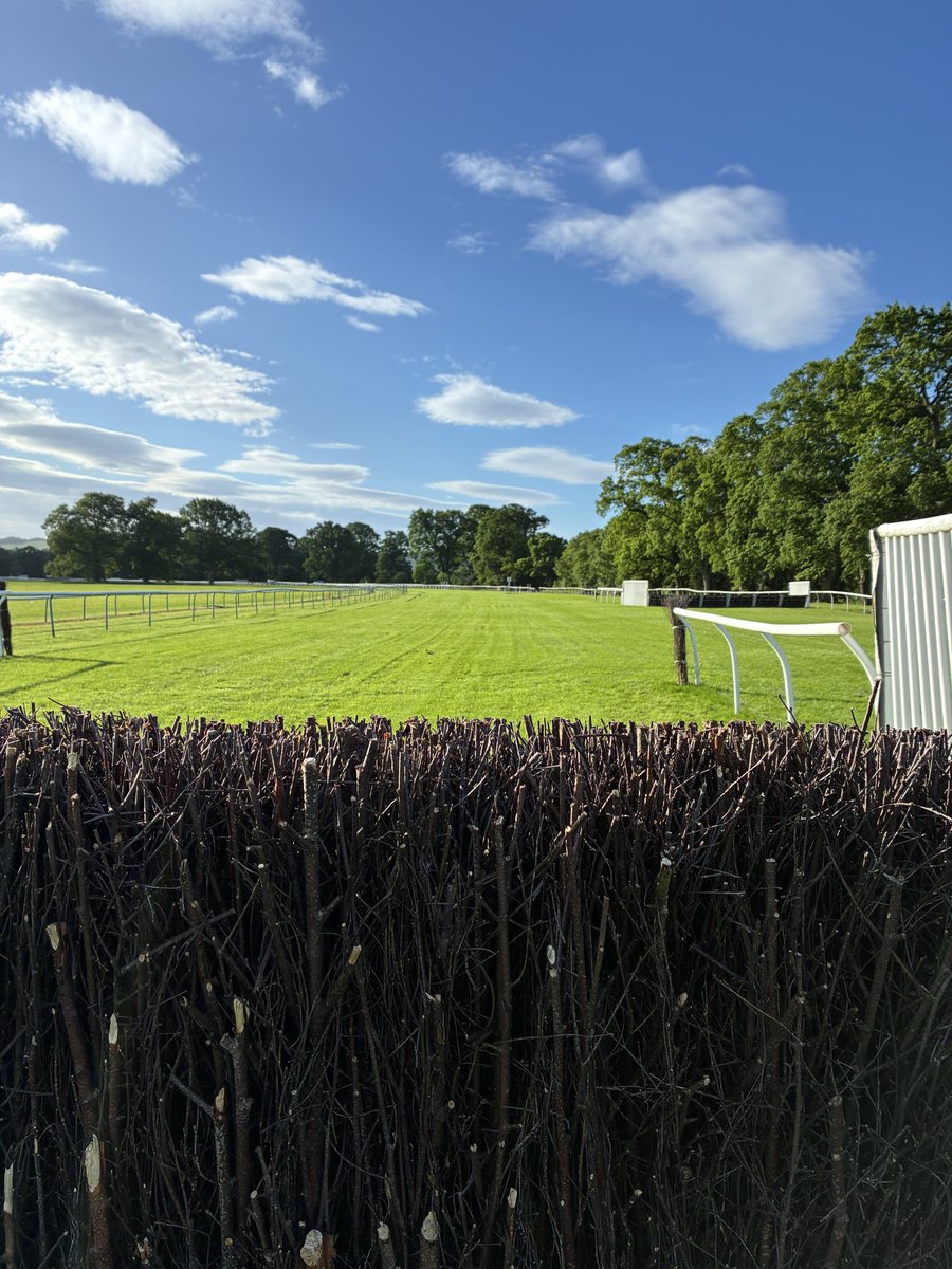 MJTaylor92's tweet photo. DECLARATIONS today @PerthRacecourse for Perth Gold Cup Day.
Going is GOOD TO SOFT, GOOD (6.7) in places after 36mm rain since Monday. Settled few days with highs of 14C. Turf in great order. https://t.co/IKwbGpa4wK