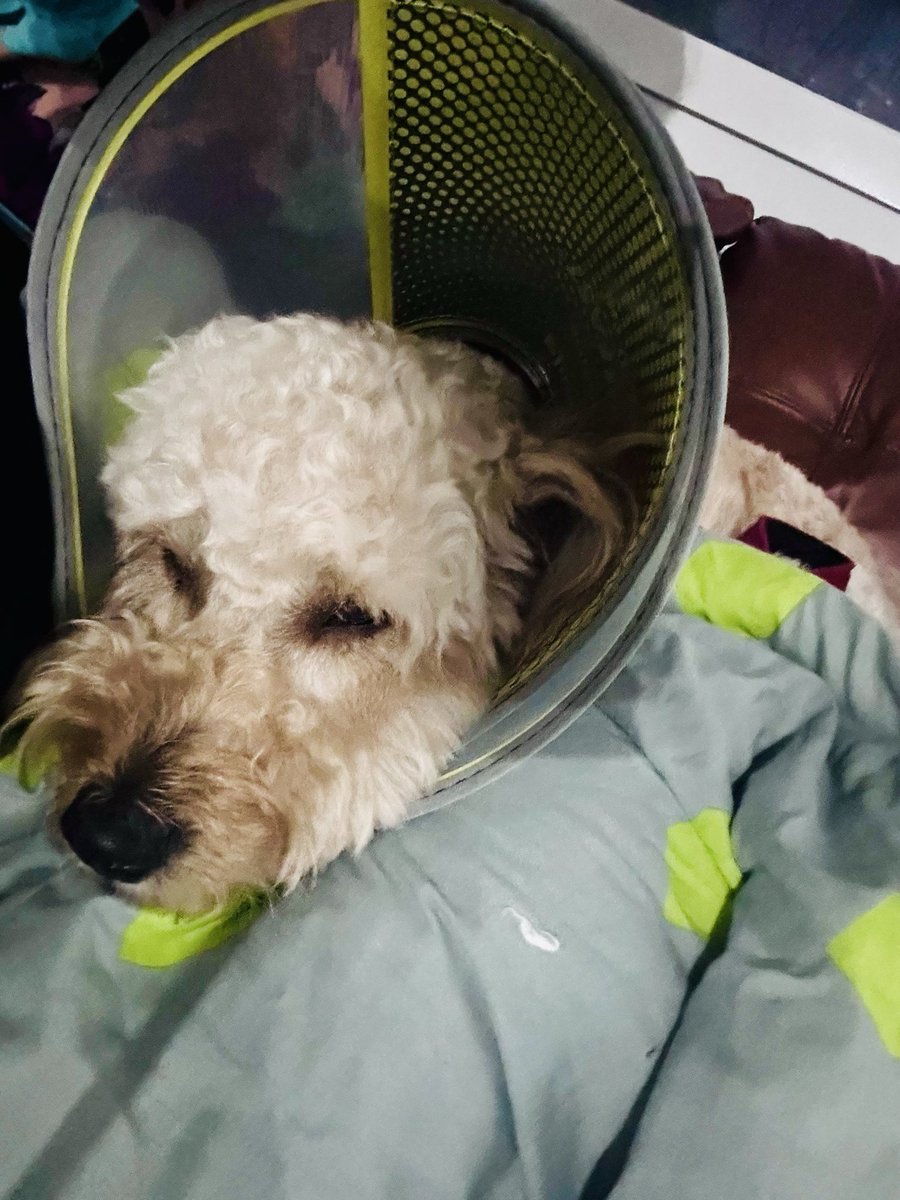igiveupnotso's tweet photo. Aura’s Friday is lil off,
But will get back on track. https://t.co/JuxK9uLJqC