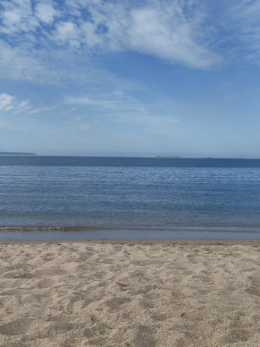 DustyMermaid's tweet photo. Grüße vom Meer 🌊🪸🐚 https://t.co/QPVR4oRDCV