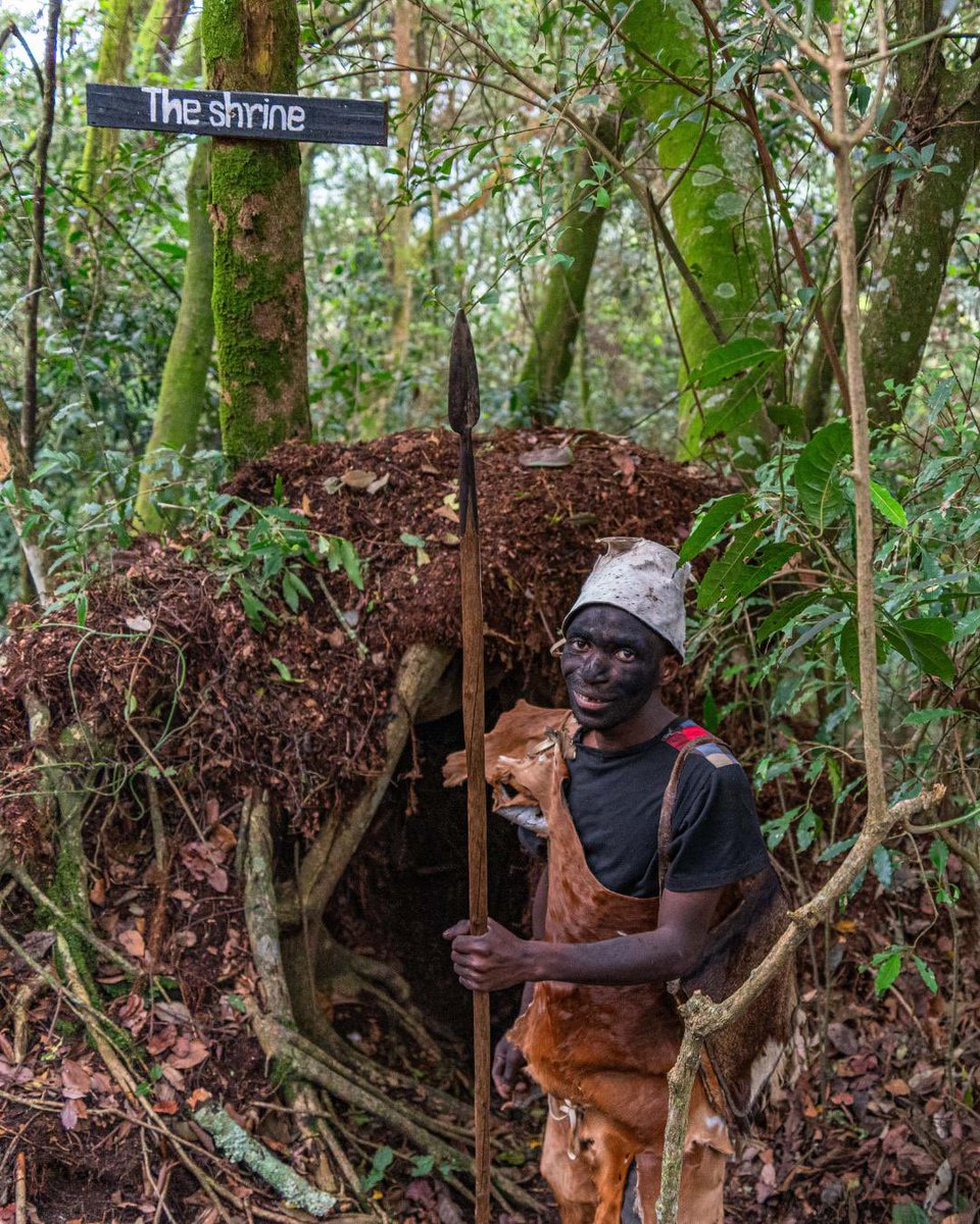 ruhuukatravels's tweet photo. On #WorldEnvironmentDay, we celebrate the Batwa, whose lives have been connected to Uganda's forests for generations.
Their story reminds us that conservation is strongest when we learn from those who have lived closest to nature for centuries.
#Conservation #Uganda #Batwa https://t.co/Fu9lo1ws4s