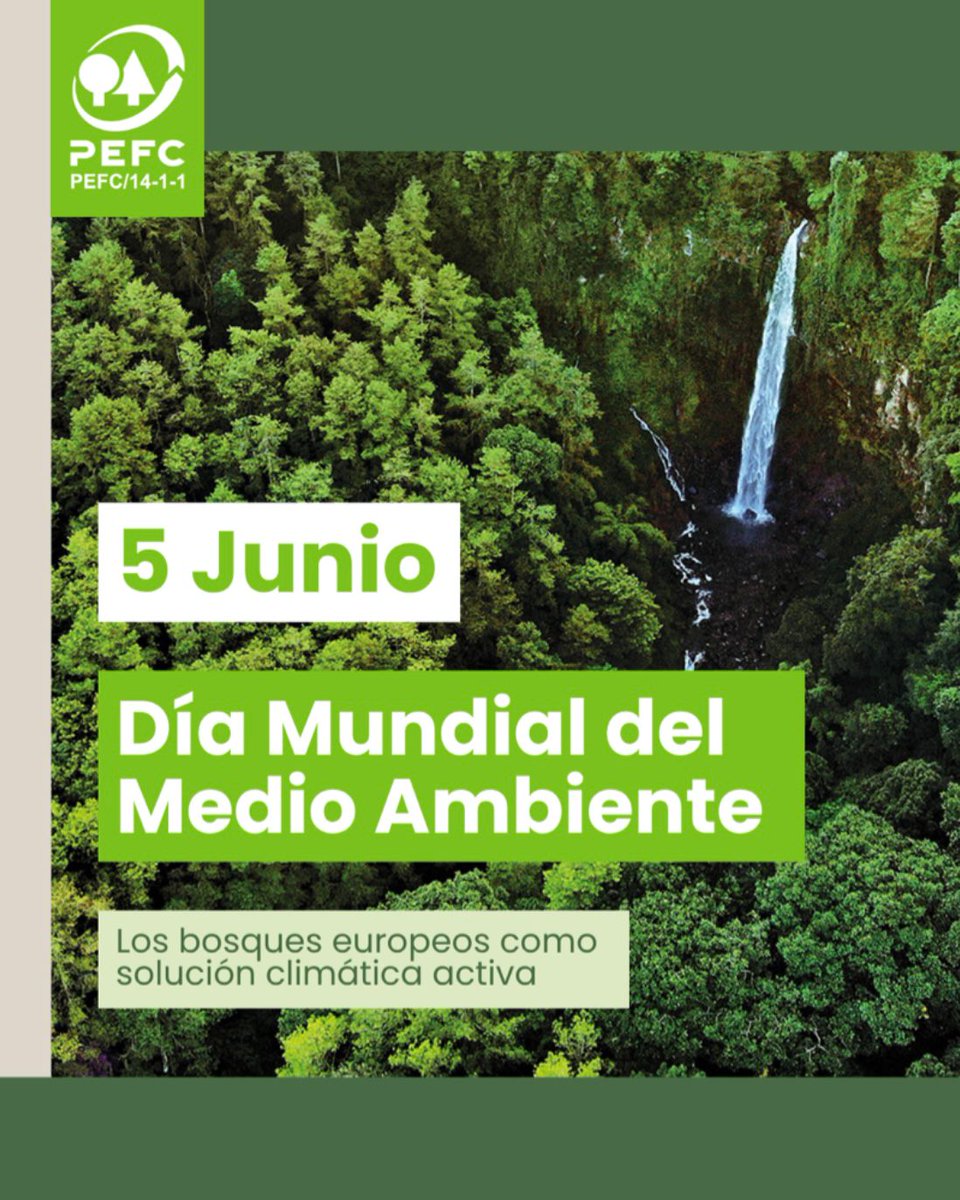 PEFCSpain's tweet photo. 5 de junio, #DíaMundialdelMedioAmbiente. Los #bosques europeos son sumidero neto de CO₂, pero su capacidad de absorción se aplana. La respuesta es gestionarlos bien. Desde #PEFC impulsamos #GestiónForestalSostenible: trazabilidad, resiliencia y carbono que se queda donde debe.🌍 https://t.co/nqWJnHYRAC