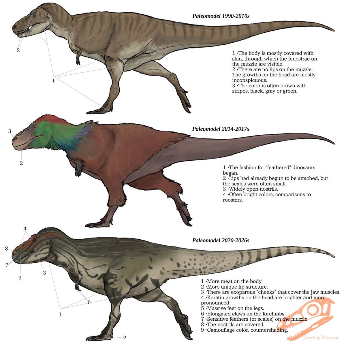 Asia9ioow's tweet photo. Basic anatomy of Tyrannosaurus rex. Very short. I don't really like the model with the hanging lower jaw, even in monitor lizards it is partially adjacent to the upper jaw. Maybe I'll do a few more drawings of the tyrannosaurus. This is essentially part 1.
#dinosaur #animal #art https://t.co/XLqpruCYfT