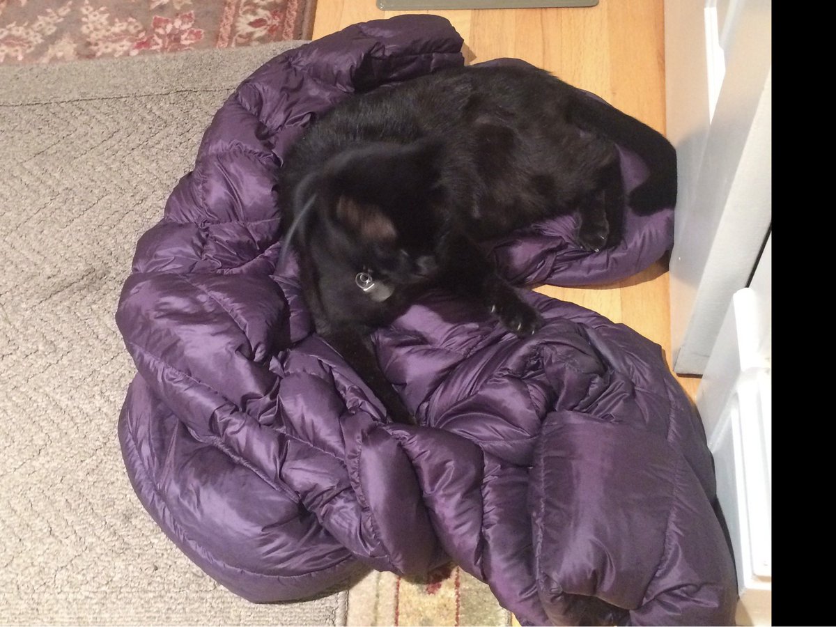 RDEIL's tweet photo. @tunguz @Thievesbook They will steal your coat. https://t.co/DLSMmpmm8k