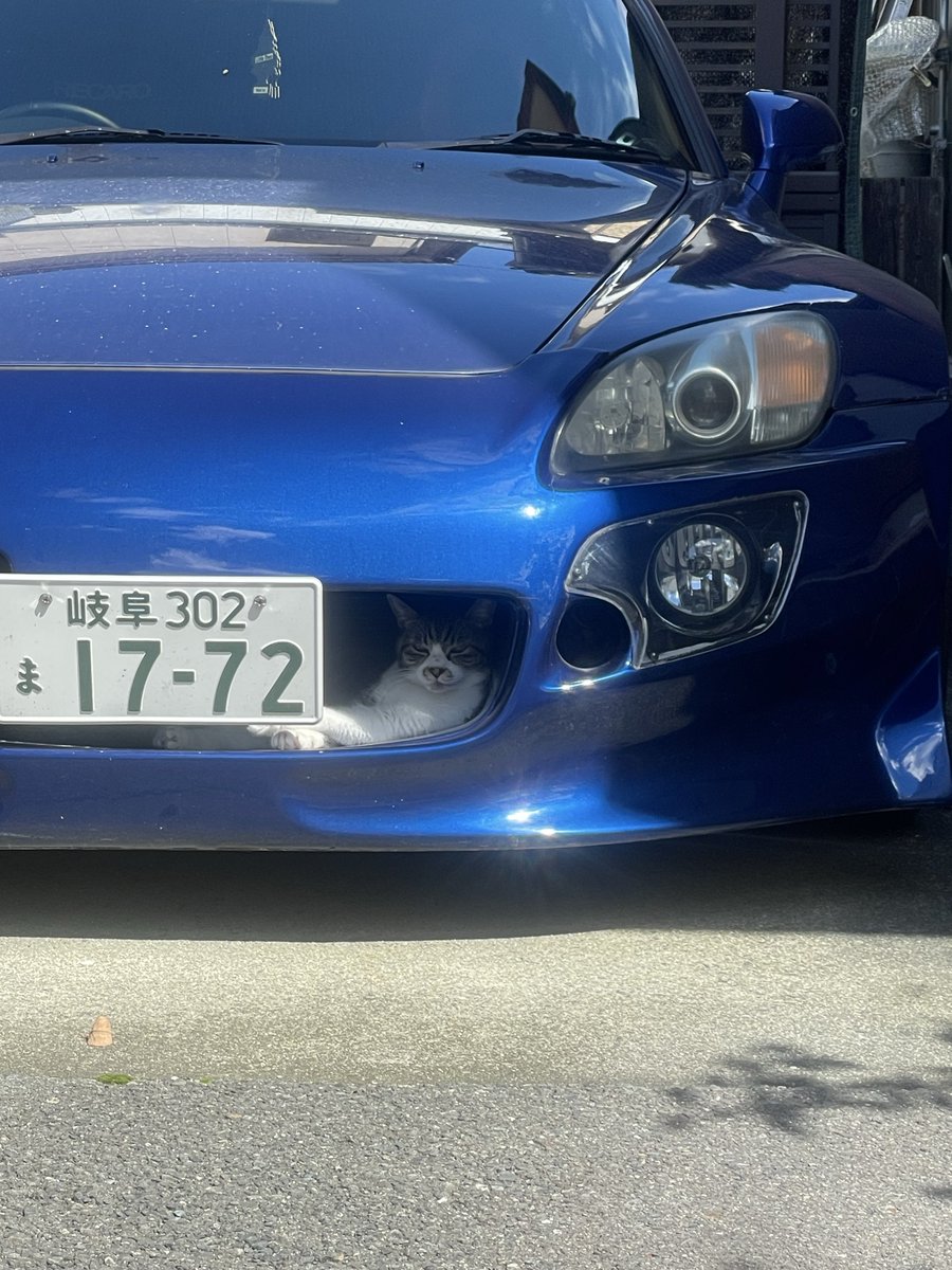 omoroitwt1985's tweet photo. 【高級猫ちぐら】
1000万円超えの伝説の名車。
その心臓部を、まさかの「刺客」が占拠した。

■驚異のシンクロ
ホンダが世界に誇る名作「S2000」。
空力を極めたフロントダクトが、
あろうことか「猫」の形に完全一致。

■数字で見る衝撃
・車体価格：約450万〜1100万円
・シンクロ率：100%
・拡散数：世界中で数千万回表示
本来はエンジンを冷やすための冷却口。
それが今や、猫を包む「特等席」に。

■世界が注目したワケ
米掲示板Redditでもトップニュースに。
「ホンダは猫専用設計だったのか？」
「世界一高価なキャットハウスだ」
と海外の車好きたちも白旗を上げた。

■結論
職人が魂を込めたデザインも、
猫の「居座る力」には勝てなかった。

可愛すぎて発進できない。
出発前の「猫バンバン」は、名車でも必須。

このジャストフィット感、もはや設計ミスを疑うレベル。