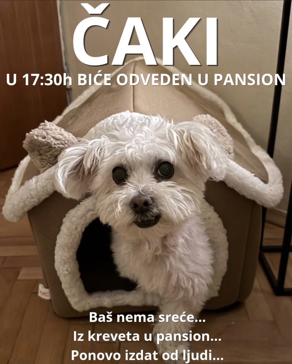 izvesnavesna's tweet photo. Ljudi hoće neko Čakija neodoljivog?
U komentaru ću ostaviti profil koji ga objavljuje https://t.co/1Bw3vmIc9n