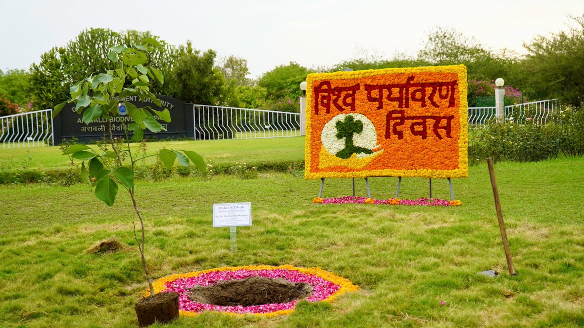 official_dda's tweet photo. On the occasion of #WorldEnvironmentDay2026, a Plantation Drive was led by Vice Chairman, DDA, Shri N. Saravana Kumar at Aravali Biodiversity Park, New Delhi.

The initiative reaffirmed the commitment towards environmental conservation, urban biodiversity, and a greener, more sustainable future. Participants came together to plant saplings and contribute to building a healthier environment for generations to come.

Every tree planted today is an investment in a greener tomorrow. 

#WorldEnvironmentDay #GreenDelhi #DDA #DDAGreens