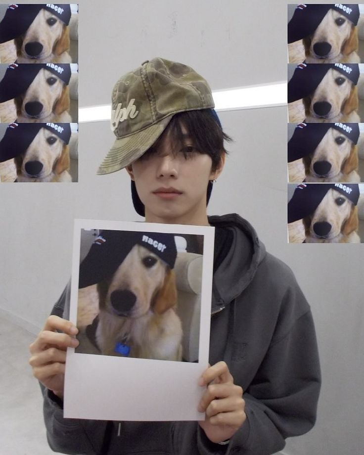 seedelinggam's tweet photo. ᅠ
ᅠ
ini kayanya aku langsung pake profil dni di WA sama line. 
ᅠ
ᅠ https://t.co/HP3Z2zhOPS