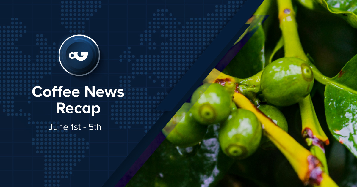 PerfectDailyG's tweet photo. Read this week’s news recap! 🤓 https://t.co/Dzs3DH8RA9

#PerfectDailyGrind #CoffeeNews https://t.co/W5gooFfcYv