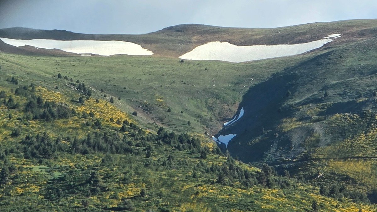 jordirodoreda3's tweet photo. Congestes de neu, zona Puigmal.
Matí de divendres 5 de juny. https://t.co/S7hgnerFlb