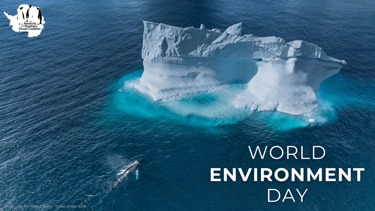 AntarcticaSouth's tweet photo. This World Environment Day, we're celebrating one of nature's greatest strengths: resilience. The environmental challenges we face are immense, but so is our capacity to create a future where nature thrives. #WorldEnvironmentDay https://t.co/GlVfmFyFDZ