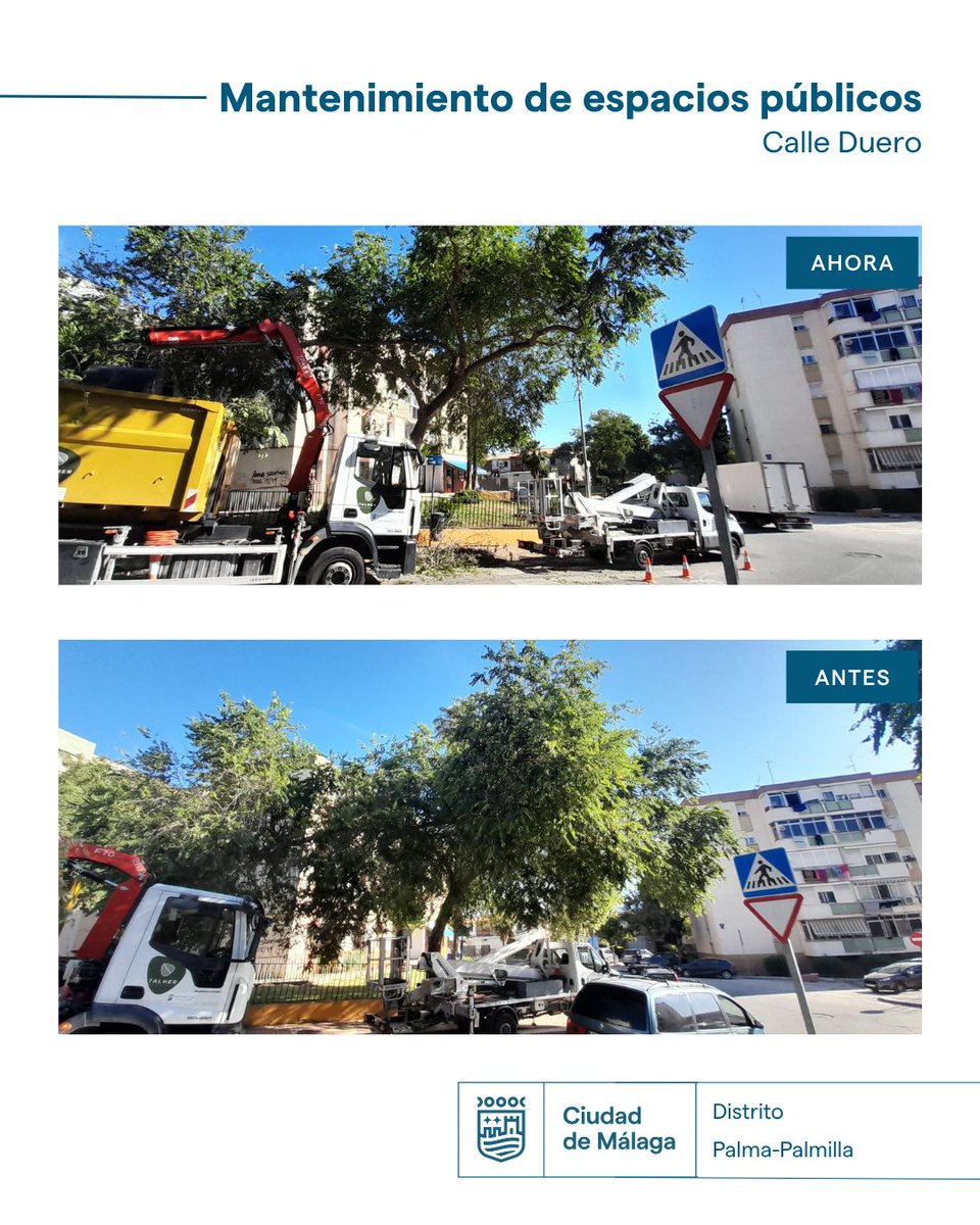 parquesmlg's tweet photo. Durante la semana pasada, en el distrito Palma-Palmilla se llevaron a cabo trabajos de poda de gálibo en calle Duero, así como labores de repaso de cortafuegos en el Parque Forestal Ciudad de Málaga.

@malaga https://t.co/gjymNGN4ZV