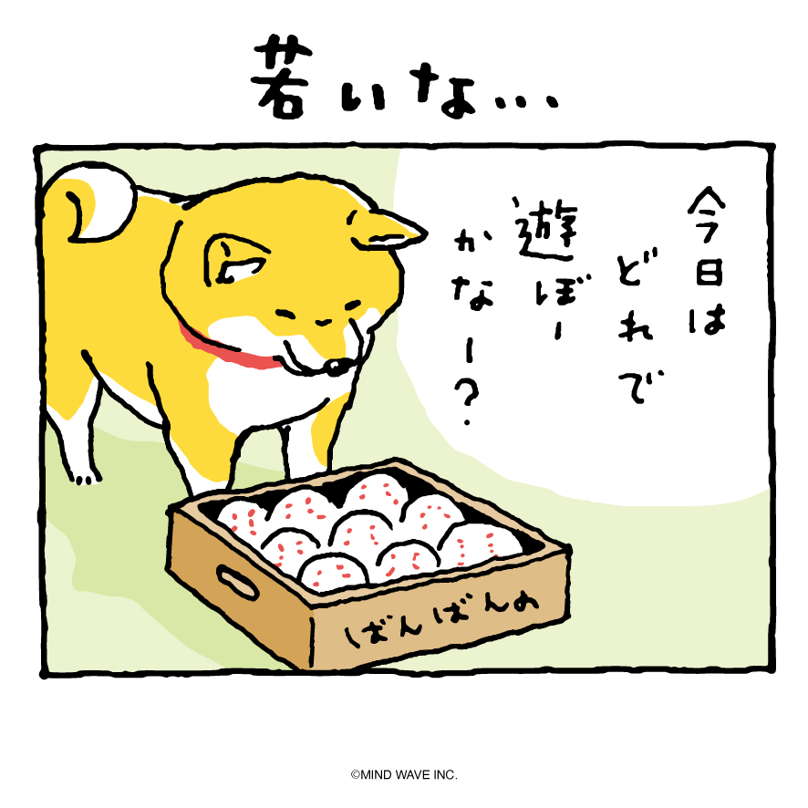 shibanban_mw's tweet photo. 若いな…

＃しばんばん #しばんばんまんが
#柴犬のいる暮らし https://t.co/SxrVcUTcDj