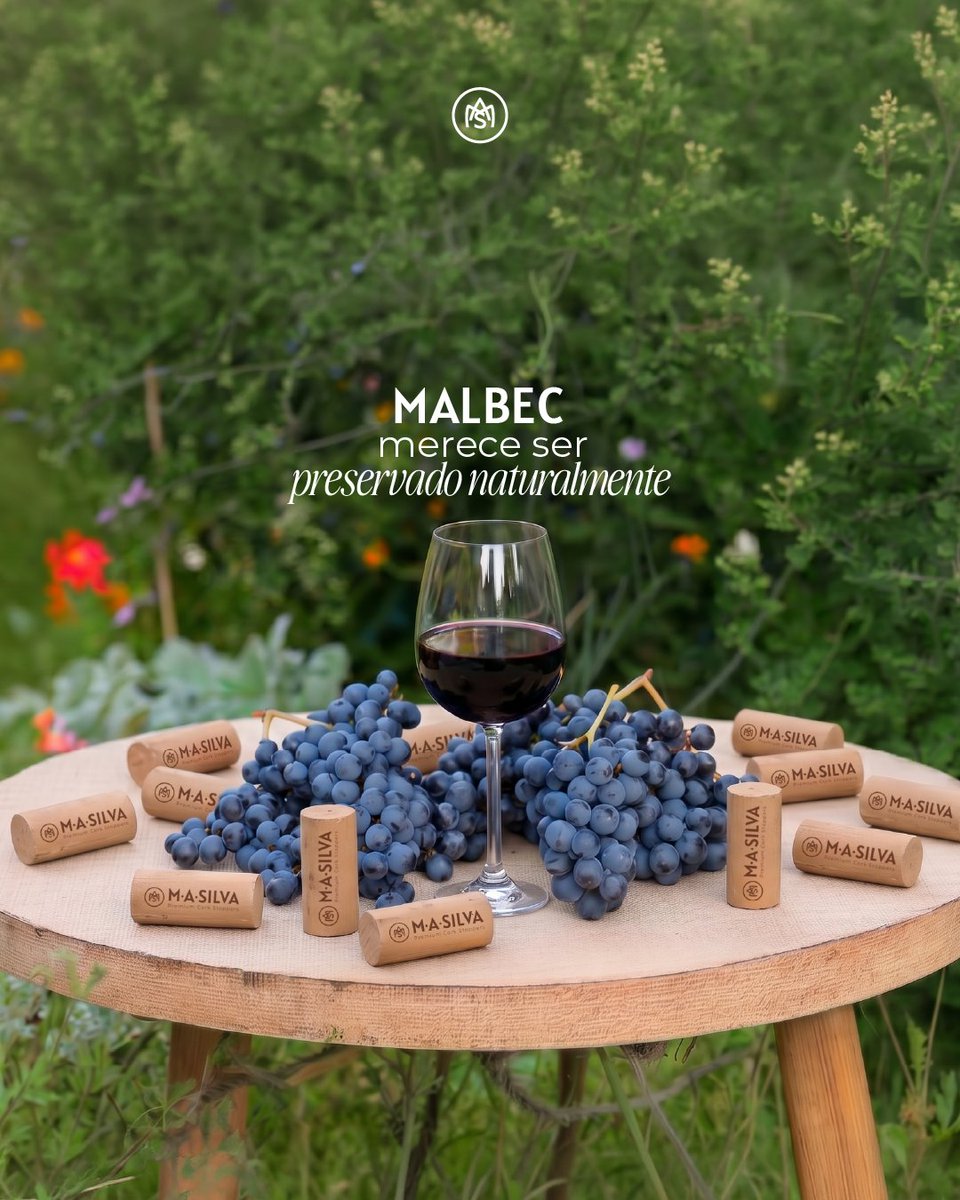 masilva_es's tweet photo. A medida que los vinos evolucionan con el tiempo, su cierre desempeña un papel clave en la preservación del aroma, la estructura y la autenticidad. Por eso el corcho NATURAL sigue siendo la elección preferida para vinos con identidad y carácter 🍷
Más en https://t.co/KRkcybIUfi https://t.co/dircxu04Ac