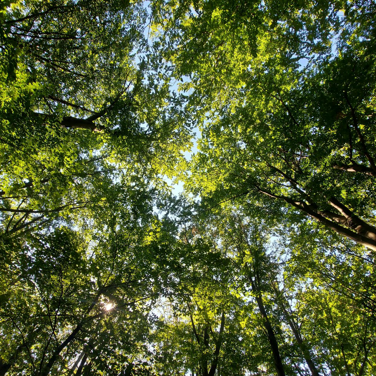 ilcpr's tweet photo. The world depends on transport. The future depends on making it cleaner, smarter and more responsible.

On #WorldEnvironmentDay, we recognise the role of clear communication in supporting progress across decarbonisation, clean energy and sustainable logistics.

📷Pexels https://t.co/dPt1KU3w8J