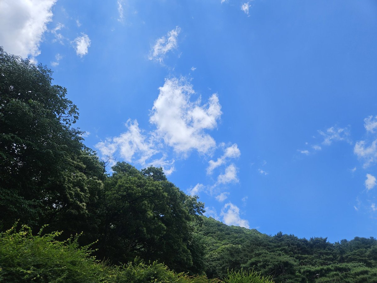 fripp66's tweet photo. 원파인데이. 혹읃 이츠어뷰티풀데이 https://t.co/M2TPUbFCzR