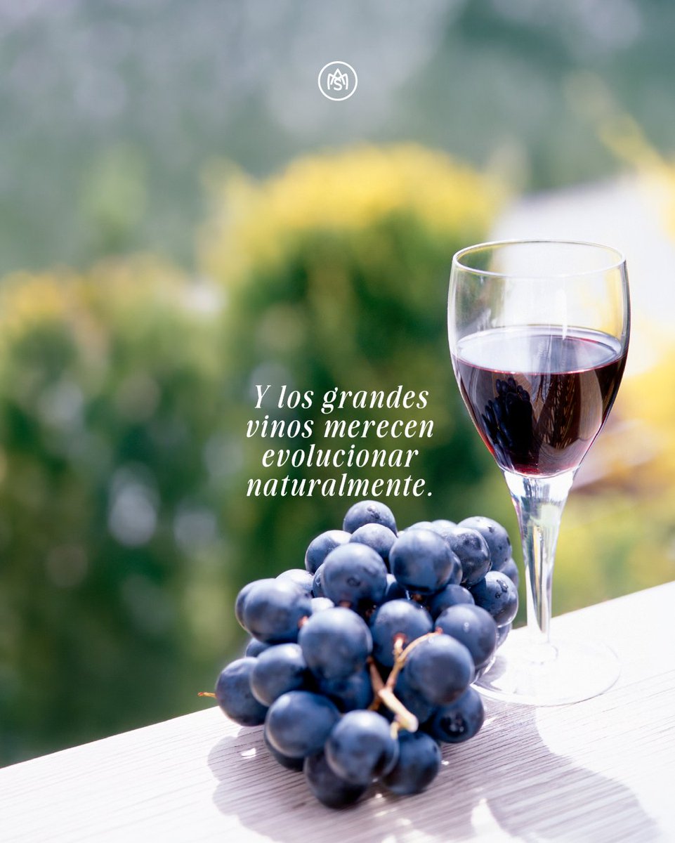 masilva_es's tweet photo. A medida que los vinos evolucionan con el tiempo, su cierre desempeña un papel clave en la preservación del aroma, la estructura y la autenticidad. Por eso el corcho NATURAL sigue siendo la elección preferida para vinos con identidad y carácter 🍷
Más en https://t.co/KRkcybIUfi https://t.co/dircxu04Ac