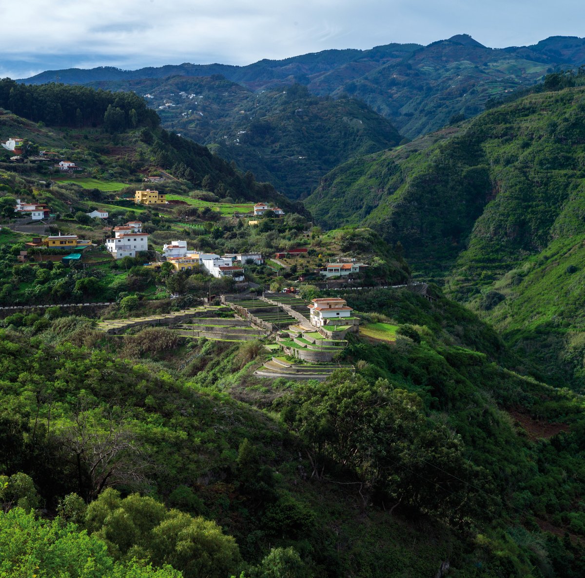 LaMochiladeMama's tweet photo. Hay lugares donde cada día sorprende, y #GranCanaria es uno de ellos. Aquí improvisar forma parte del viaje porque TODO está a un paso: paisajes, pueblos, playas...

🛫Vuelo + 5 noches de hotel 4* en @atrapalo desde 290€➡️ https://t.co/jCX6URqARF

#MuchoPorVivir en @turismogc✨ https://t.co/IFq3RsNfpC