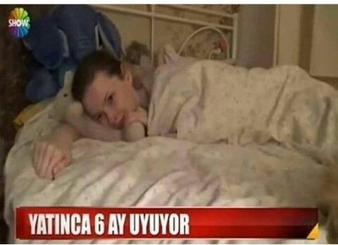 eylül tweet media