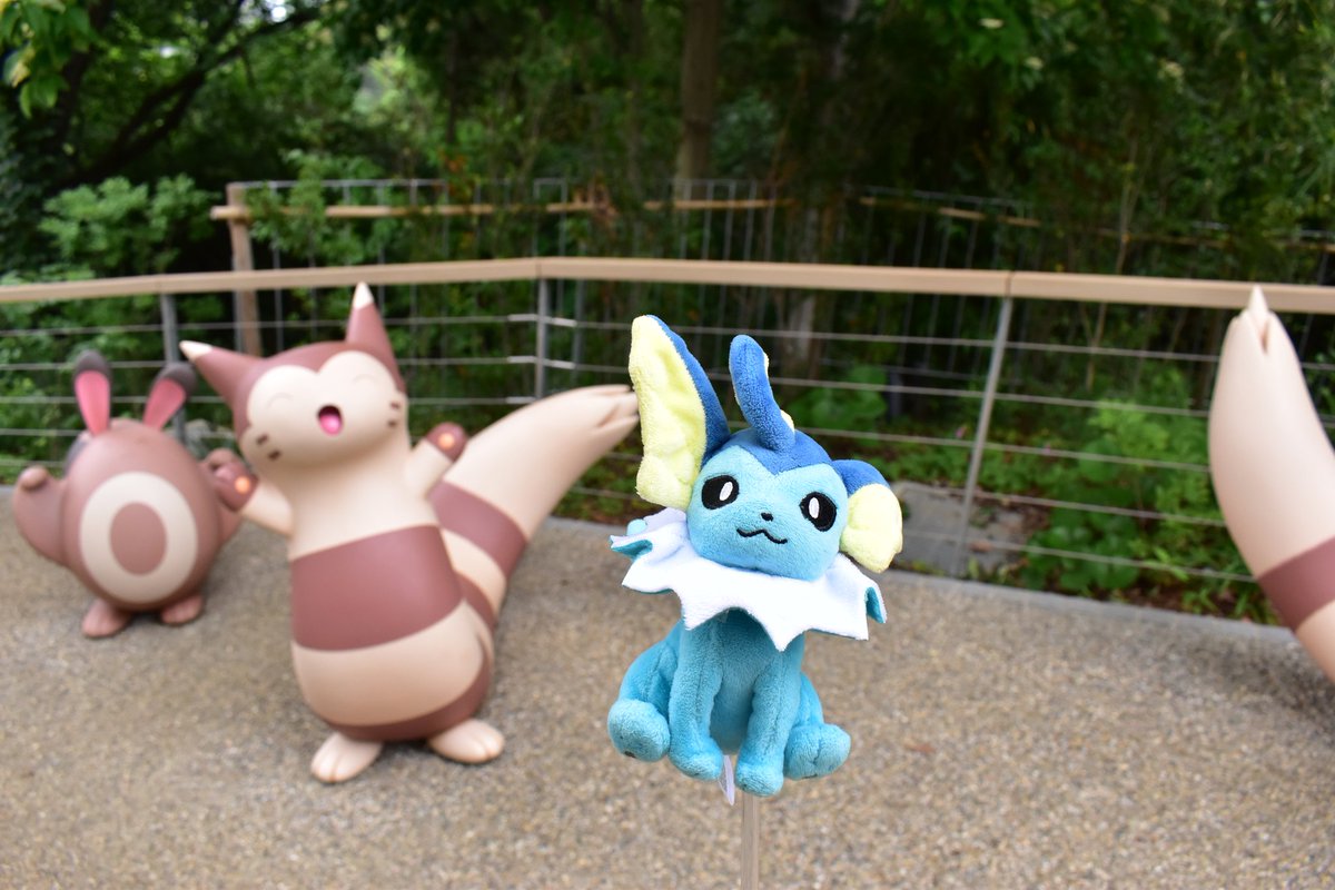 ポケモン　ぬいぐるみ　シャワーズ　ポケパークカントー　202510170052 ポケパークカントーを満喫するシャワーズ君!!(ポケモンフォレスト編)1