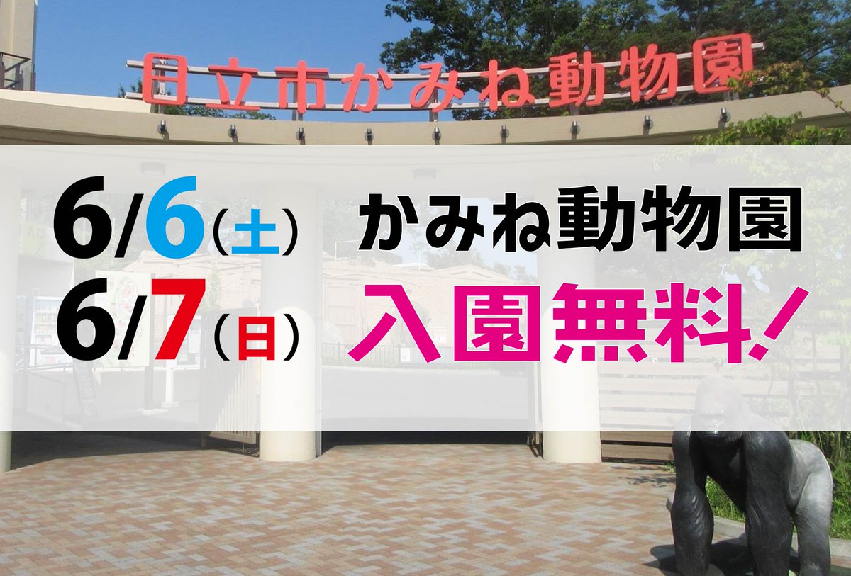 HitachiCityKoho's tweet photo. 【かみね動物園入園無料】
6月6日(土)・6月7日(日)は、かみね動物園が入園無料になります！
今週末は、ぜひかみね動物園へ！

詳細はこちら↓
https://t.co/bIp5EDAOB9 https://t.co/SihqlUakx6