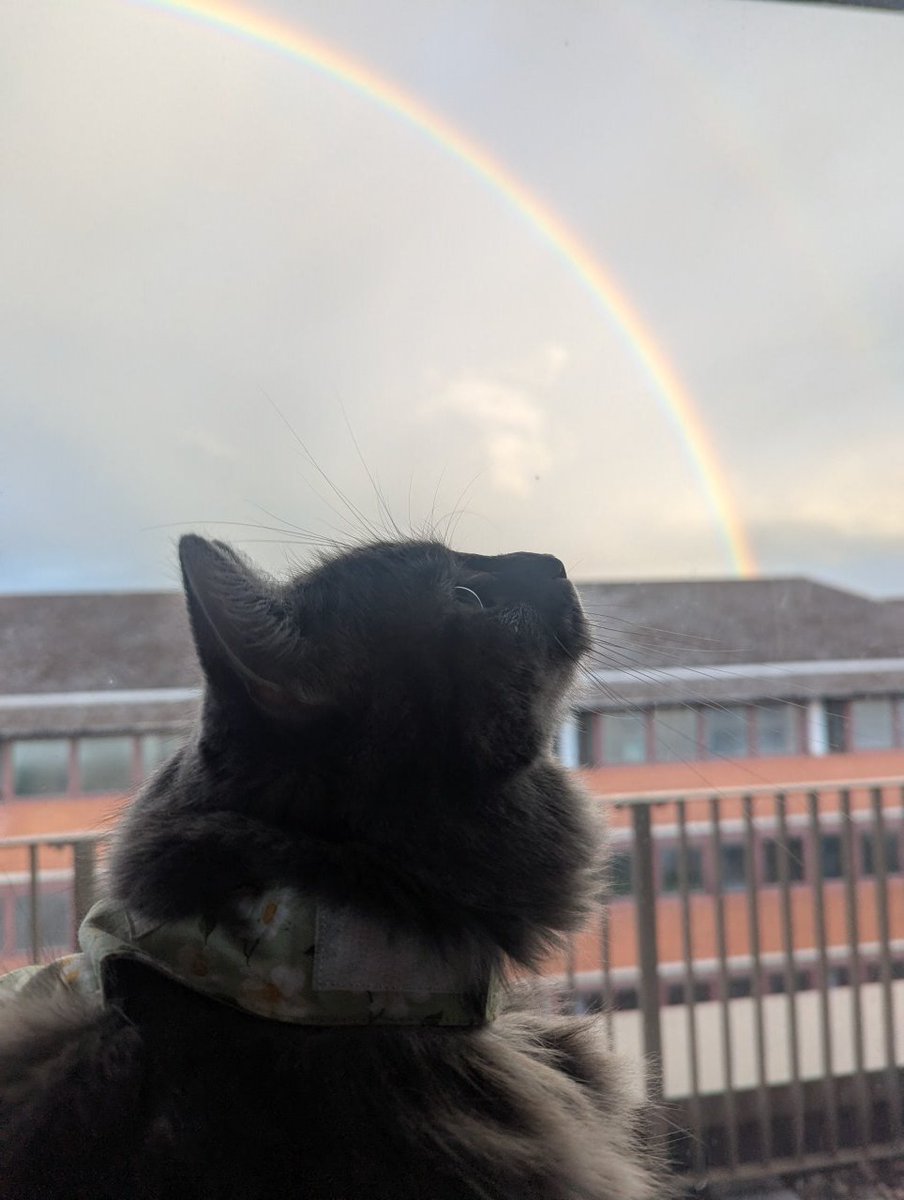 JonahJoner's tweet photo. Happy pride month https://t.co/Zq4KYbXJ8f