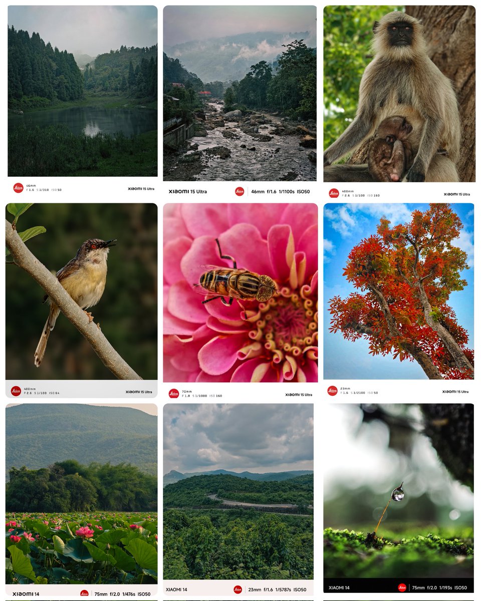 Parthac121's tweet photo. A gentle reminder this June 5th: The future is not a distant destination; it’s a choice we make today. 🕰️🍃
#EnvironmentalAwareness

#xiaomi15ultra
#shotonsnapdragon
#shotonxiaomi
#Xiaomicaptured

@Snapdragon @Xiaomi https://t.co/wcIALGiJBc